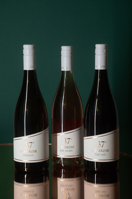 37° Specials Paket