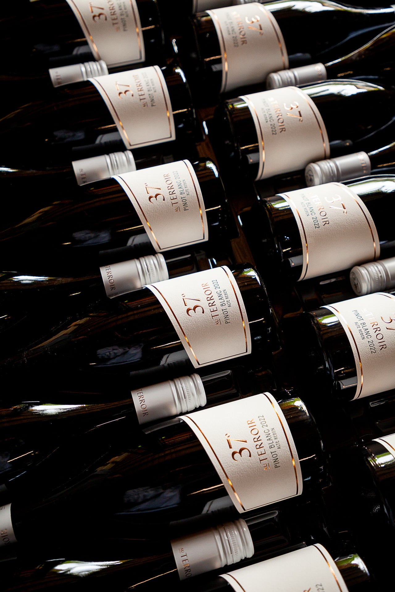 Weinflaschen 37° Basislinie Weingut AuTerroir