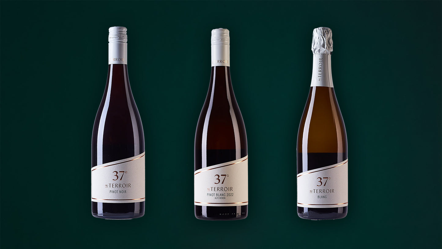 37° Festtags-Edition