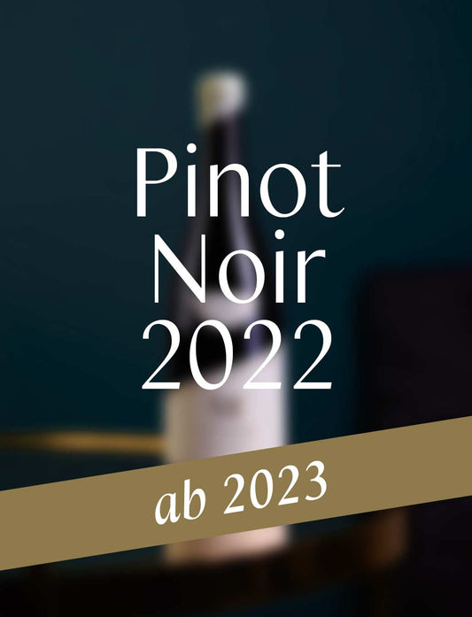 37° Pinot Noir 2022