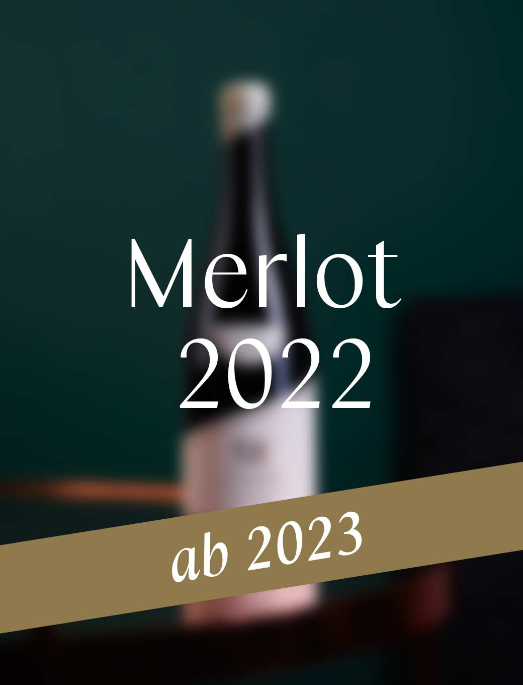 58° Merlot 2022